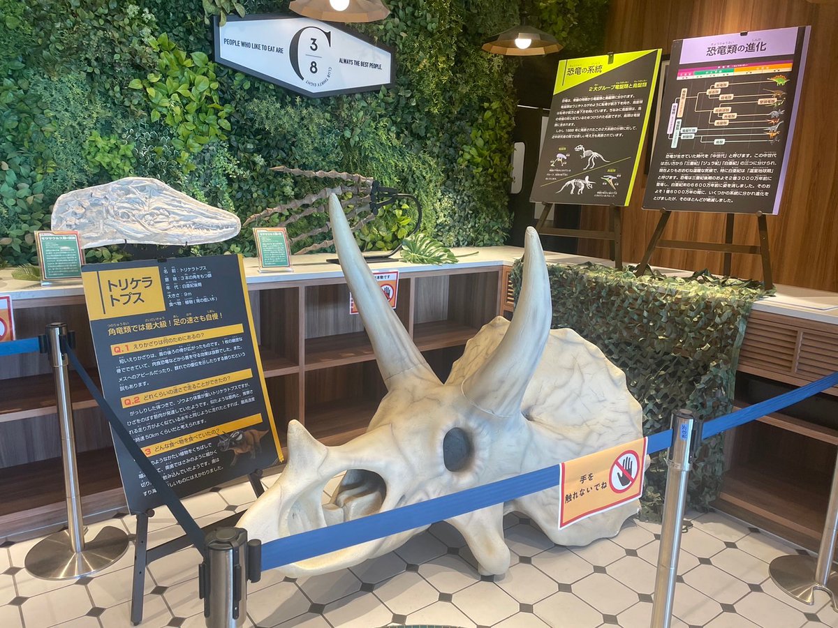 dinosafari2019's tweet photo. 【📡レンジャー通信🫡】

ぴあアリーナMM 2階「CLUB 38」では「DINO COLLAB CAFE」が営業中💁‍♂️

化石の展示や塗り絵コーナーもございます🦖
見て、食べて、遊んでディノサファリを遊び尽くしてください😊

期間：8/13(日)まで
時間：11～21時

▼詳細はこちら
https://t.co/innIV6qHym

＃休日 #盆休み https://t.co/wDhEoUPEB6