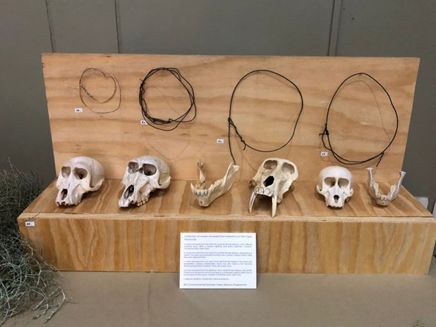 NCC Environmental Services tweet media