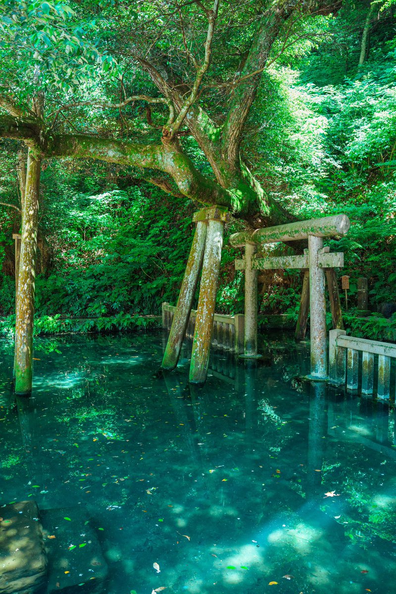 Ozora_Yukari's tweet image. 茨城県で有名な神秘的で神聖な鳥居
