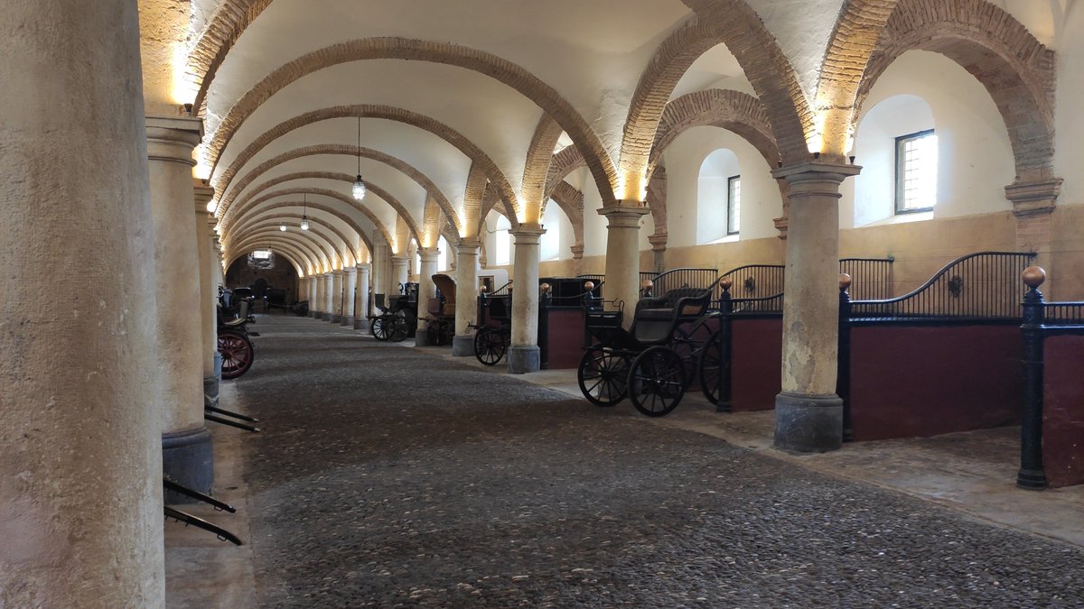 destinodecine's tweet photo. Os invitamos a pasear por #Córdoba #destinodecine y conocer el Puente romano, el Barrio de la Judería, el Alcázar de los Reyes Cristianos o las Caballerizas Reales con nuestro mapa de cine de #CordobaFilmOffice @ayuncordoba_es @CordobaESP @viveandalucia @canalsur #moviemaps https://t.co/JC3WhHU52u
