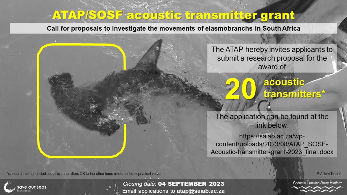 Through the support of <a href="/saveourseas/">Save Our Seas</a>, we're able to support our transmitter award once again this year! If you're wanting to study the movements of sharks and rays in #SouthAfrica using acoustic #telemetry, then please apply! 🦈

Application at link 👇
saiab.ac.za/wp-content/upl…