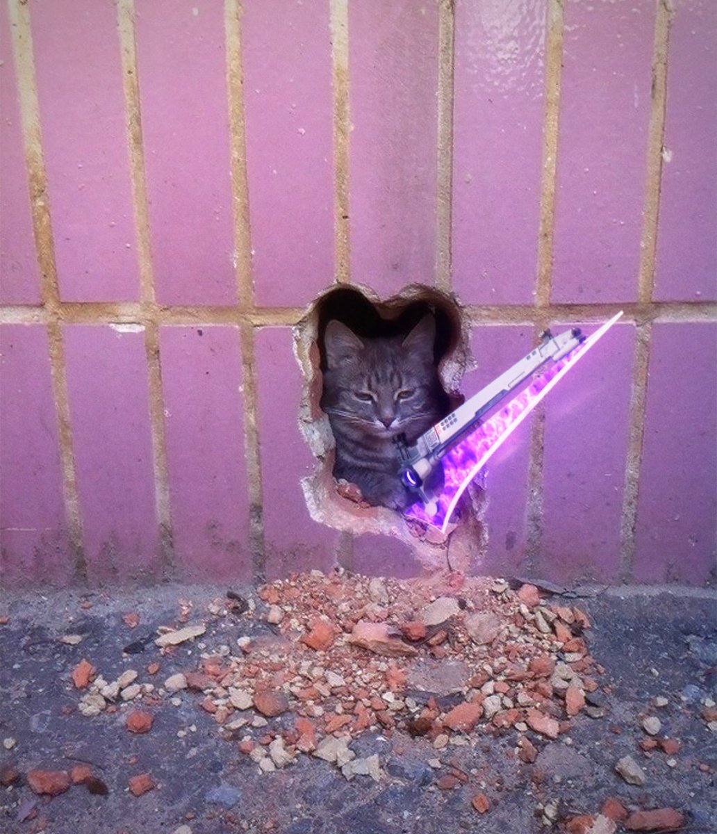 oddmb_'s tweet photo. editing the other half to cat pics everyday until I forget #336 https://t.co/3qn95K9IlK