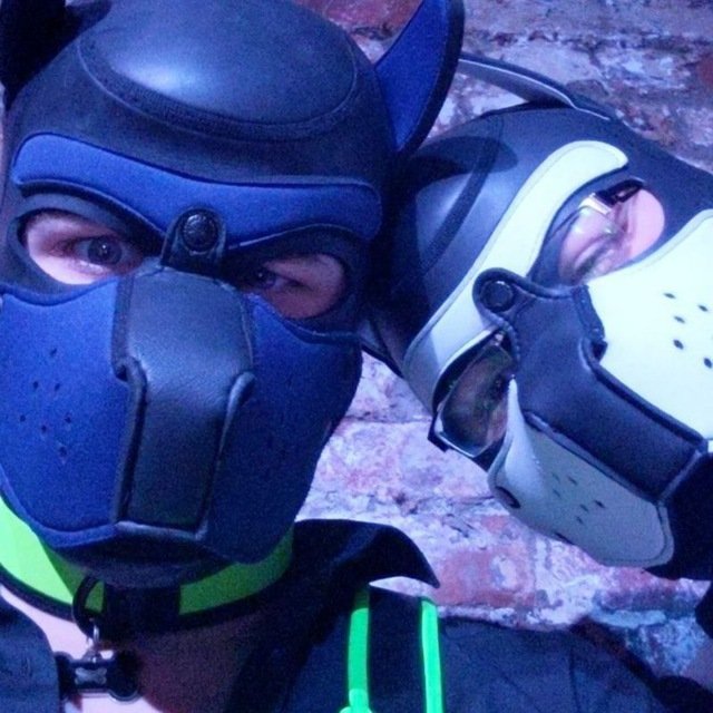 Polo_The_Puppermint tweet media