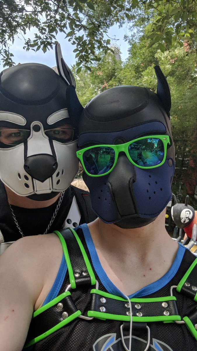 Polo_The_Puppermint tweet media