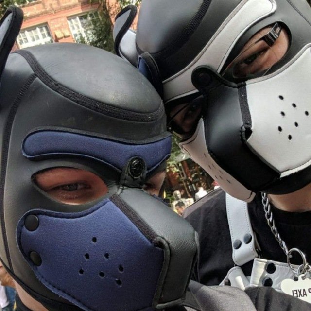 Polo_The_Puppermint tweet media