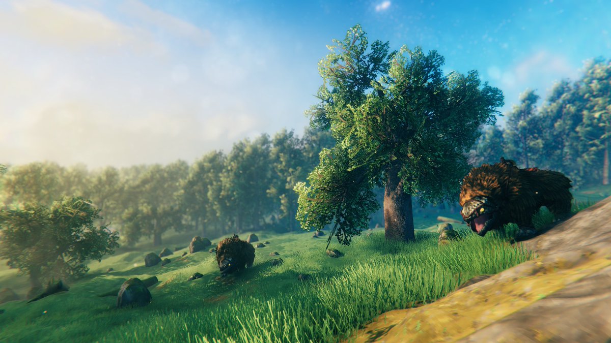 Valheim 🌟 tweet media