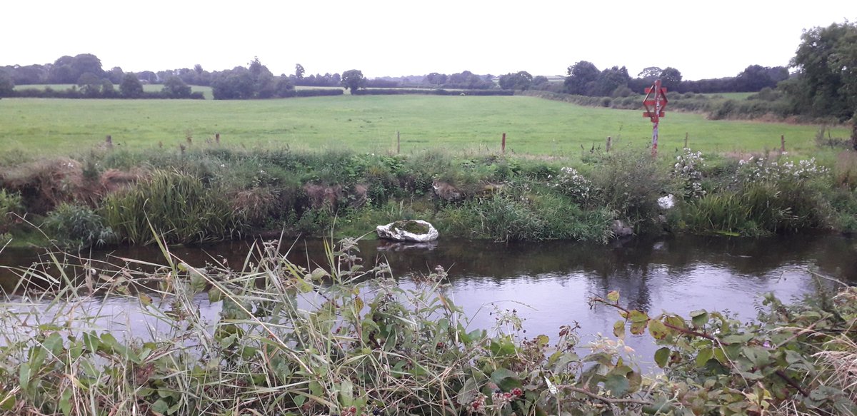 The Bride Giant Hogweed eradication project with @npwsBioData, @Corkcoco, Envirico Ecology and over 60 landowners is ongoing and the difference between the 2019 photo and this year is obvious. This support and cooperation from all of the above augurs well for its success.