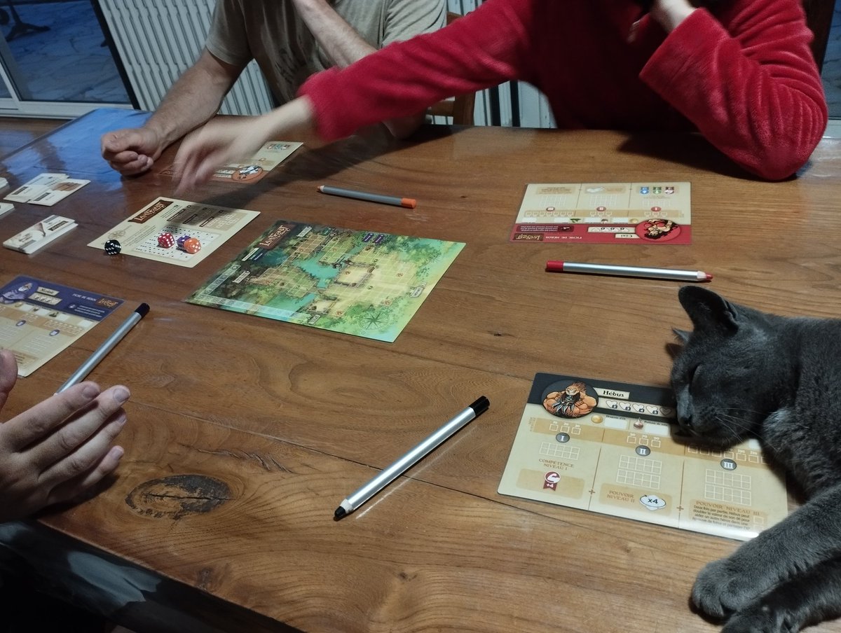 MeepleStratego's tweet photo. Hier soir on a joué à #Lanfeust et on s'est bien marré. Mes compatriotes étaient ravis que je les ai tous fait perdre sur la seconde partie 🤣 (mais il était trop tentant ce tunnel quand t'es un gros troll.
(j'avais un gardien de perso)
#jds #j2s #jeudesociété https://t.co/bCoUlCxfpA