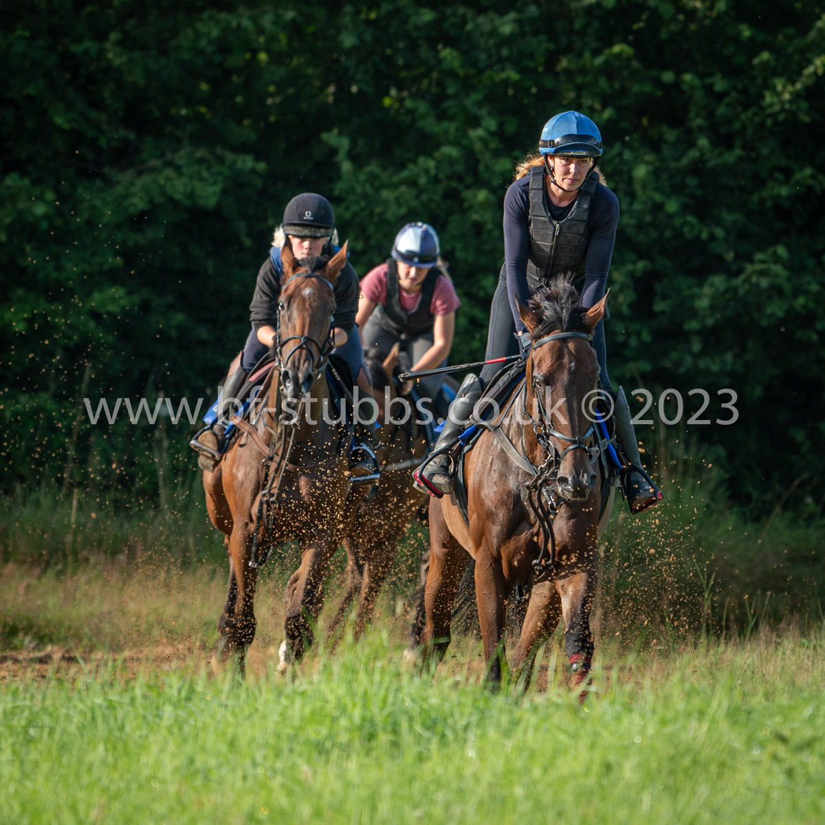 BF_Stubbs's tweet photo. Photos from @TizzardRacing on Wednesday - horses being schooled. My thanks to @JoeTizzard & all team. Wonderful facilities. Super friendly staff.
More photos at
https://t.co/cMcXLDhEwU
#TeamTizz #Tizzards #racingyard #thoroughbreds #racehorses #schooling #horsephotos https://t.co/lFhcy0Em0d