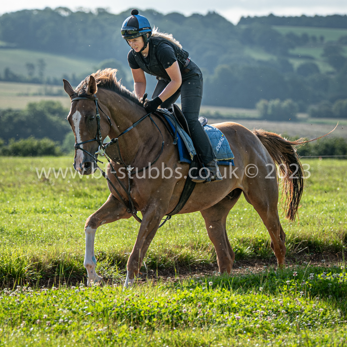 BF_Stubbs's tweet photo. Photos from @TizzardRacing on Wednesday - horses being schooled. My thanks to @JoeTizzard & all team. Wonderful facilities. Super friendly staff.
More photos at
https://t.co/cMcXLDhEwU
#TeamTizz #Tizzards #racingyard #thoroughbreds #racehorses #schooling #horsephotos https://t.co/lFhcy0Em0d