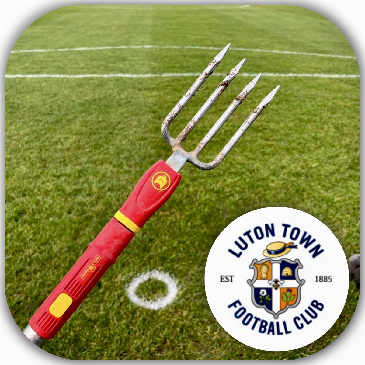 Groundsman Wes tweet media