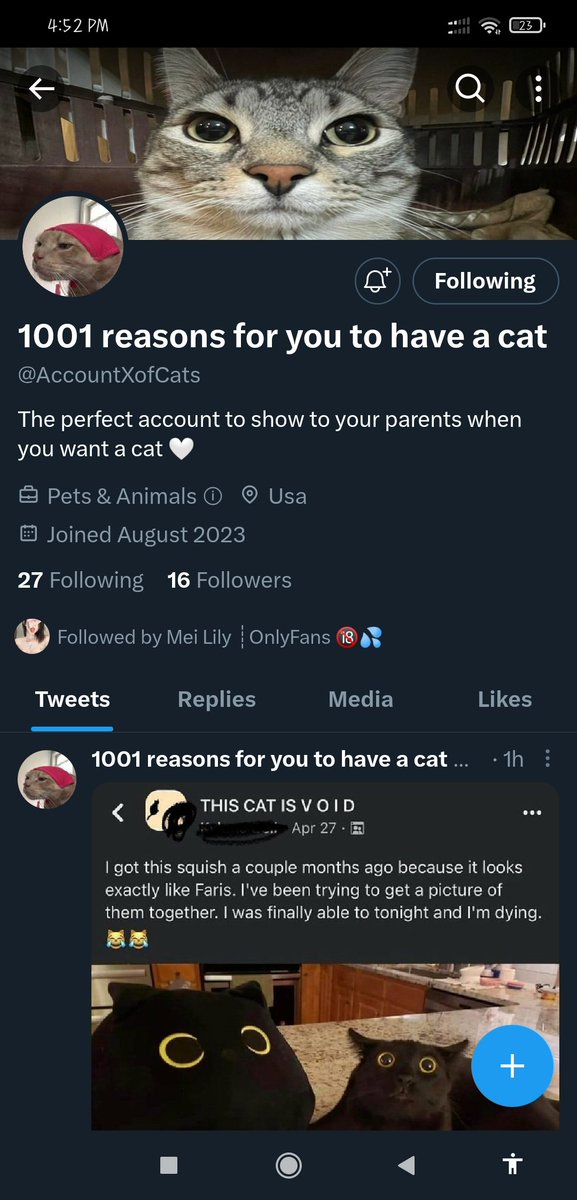 BourbonER_'s tweet photo. @luvllilyy @AccountXofCats https://t.co/vM1wvtg1Yv
