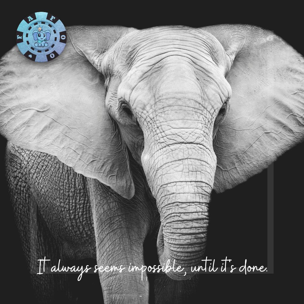 fafoo_fi's tweet photo. Nobody is rooting for you to fail.
Maybe you’ll succeed. You either succeed or fail . Nobody cares.
One good thing! The world is big and you are small, and that means you can chase your dreams with little worry for what people think.
TGIF weekend loading..
#NFT
#DeFi 
#weekend https://t.co/Eb8Jsqgb1t