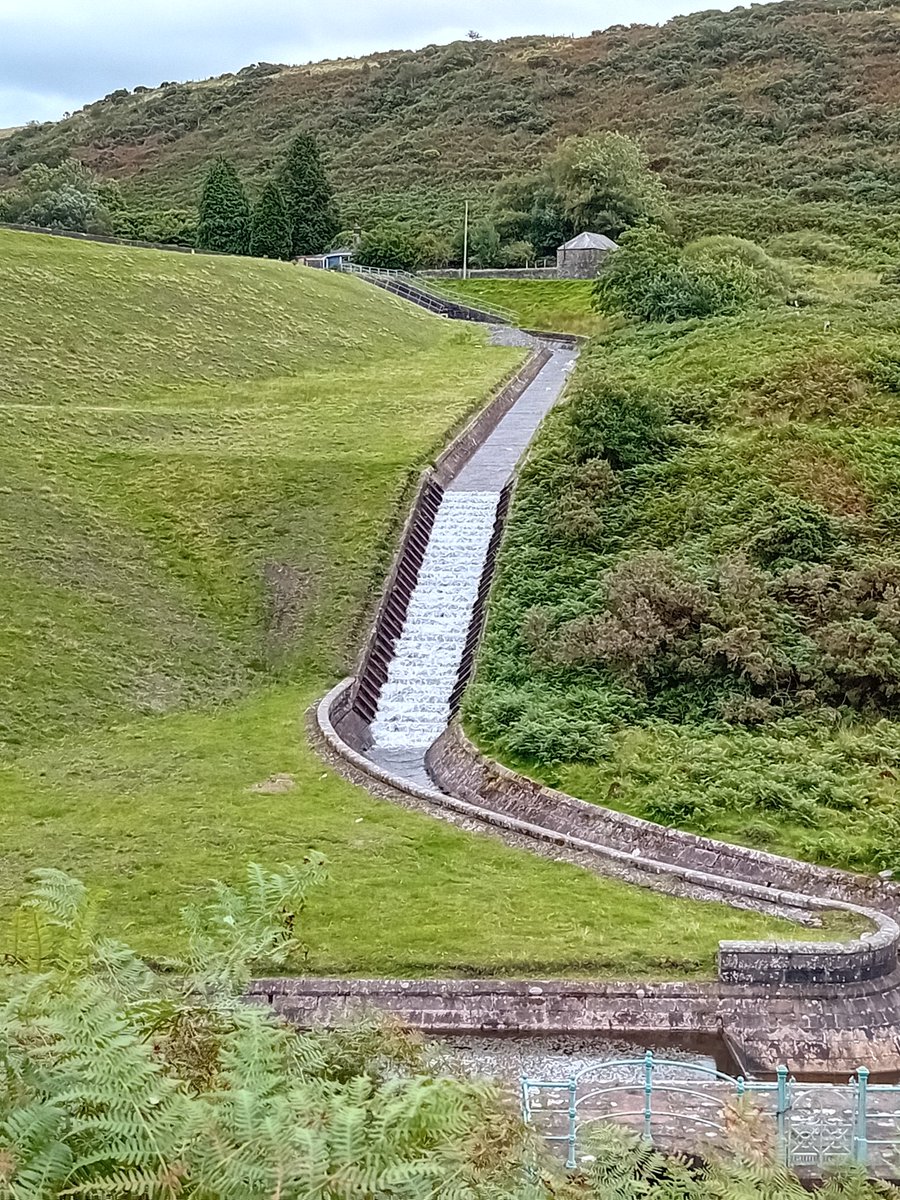 angiloveslife's tweet photo. Made the most of the sunshine with a walk at Lliw Reservoir, Felindre followed by ice cream in the cafe #joio #dogwalk #lliwreservoir #innopet #lilydog #chesterdog #summer2023 #sunshine https://t.co/iux311CCcp