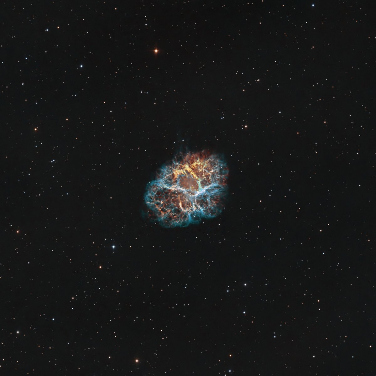 #TLPOD winning image (04/08/2023): Crab Nebula
Image processed by Marek Idec, original data from TelescopeLive.

See for yourself with a 1-week FREE trial: bit.ly/3q4y9jd 

ABOUT THE IMAGE:
🔭 Planewave CDK24 (CHI-1-CCD)
🔘 HSO
🖥️   PixInsight
