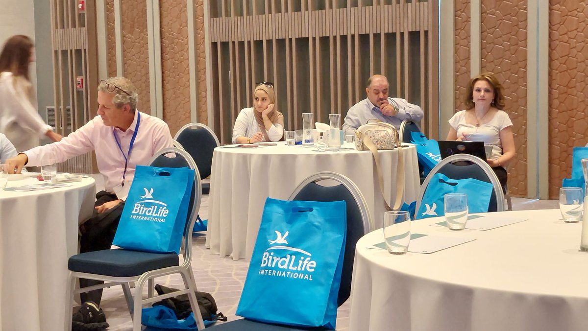 Ecotourism Regional Workshop Day 2
<a href="/BirdLife_News/">BirdLife International</a>  <a href="/birdlife_me/">BirdLife International Middle East</a> <a href="/UNDPJordan/">UNDP Jordan 🇯🇴</a> <a href="/SpnlOrg/">SPNL</a> <a href="/RSCNJordan/">RSCN</a>