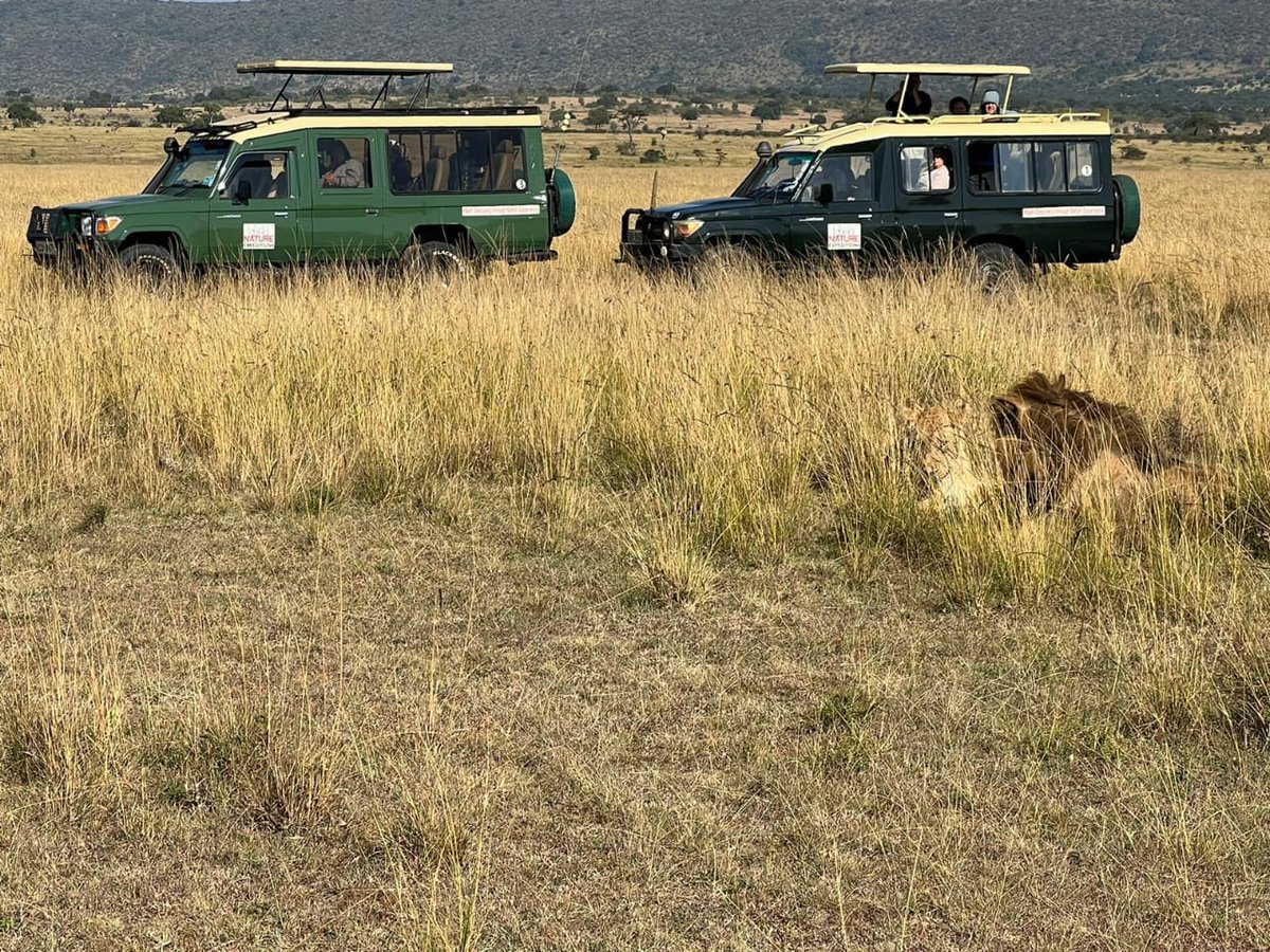 nature_exp's tweet photo. Experience the wonders of Kenya's most incredible destinations with our family and group safari packages. Join us for unforgettable journeys that cater to all.
For bookings:
๐ฒ+254 โ 748 717 387
๐งsales@natureexpeditions.com
#africa #kenya #familysafari #groupsafari https://t.co/HxnnIQ6Qo5