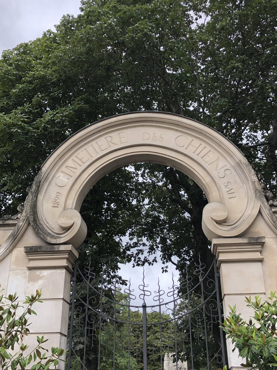 MelLaurencon's tweet photo. Au 19e siècle, la fonction de l’animal évolue, passant progressivement de l’utilitaire au domestique.
En 1889, le premier cimetière animalier de l’ère moderne est créé à @Ville_Asnieres. 

Découverte attendrissante du cimetière des chiens 🐕 https://t.co/j1YePSnwCG