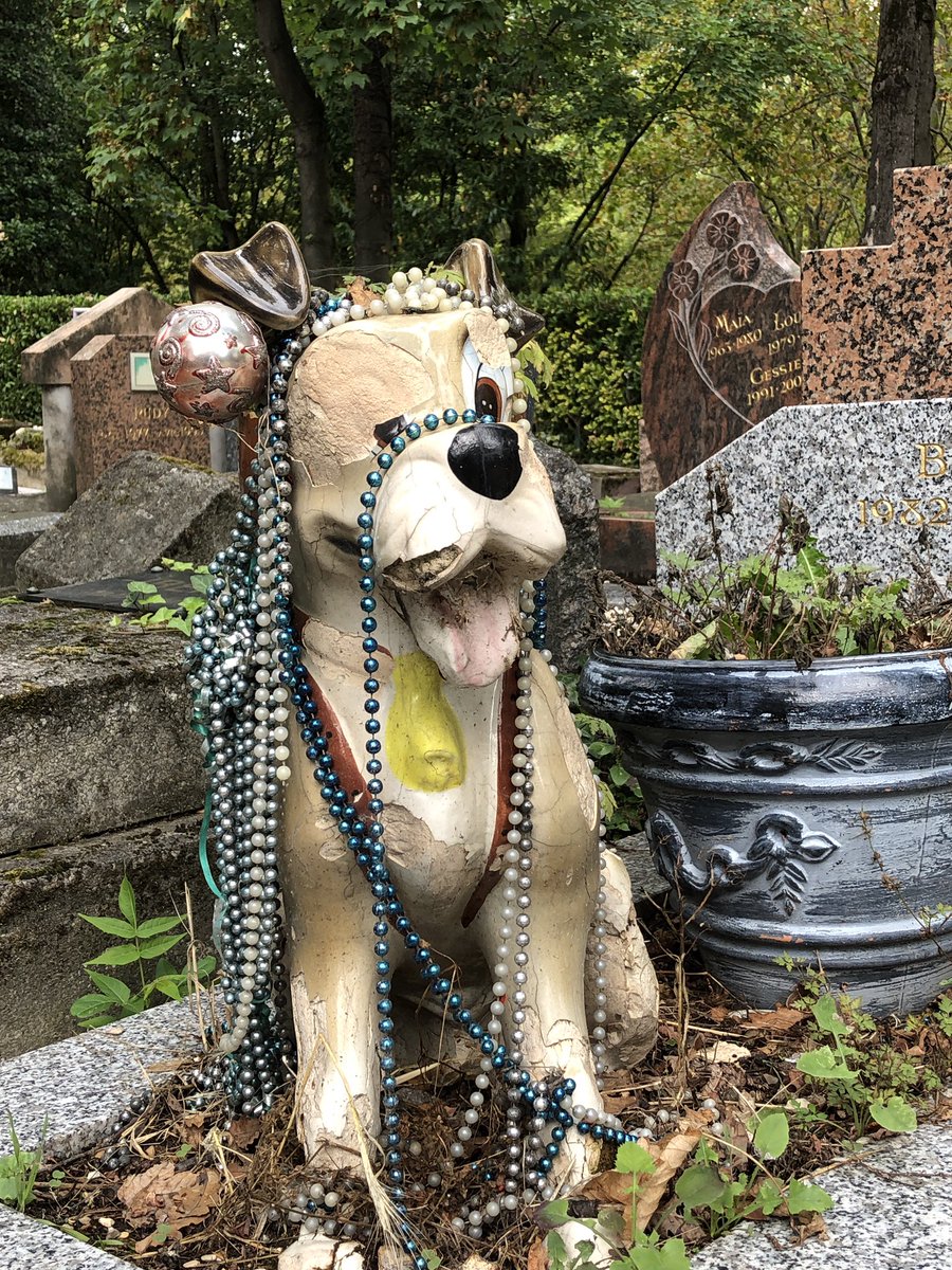 MelLaurencon's tweet photo. Au 19e siècle, la fonction de l’animal évolue, passant progressivement de l’utilitaire au domestique.
En 1889, le premier cimetière animalier de l’ère moderne est créé à @Ville_Asnieres. 

Découverte attendrissante du cimetière des chiens 🐕 https://t.co/j1YePSnwCG