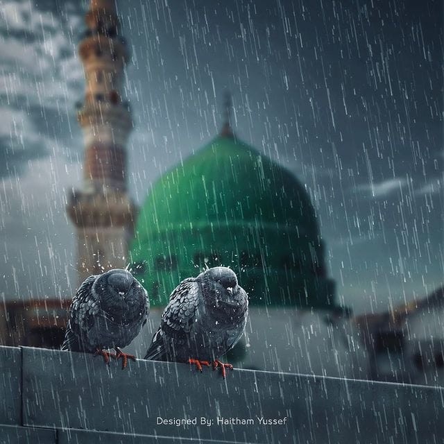 Raza Academy tweet media