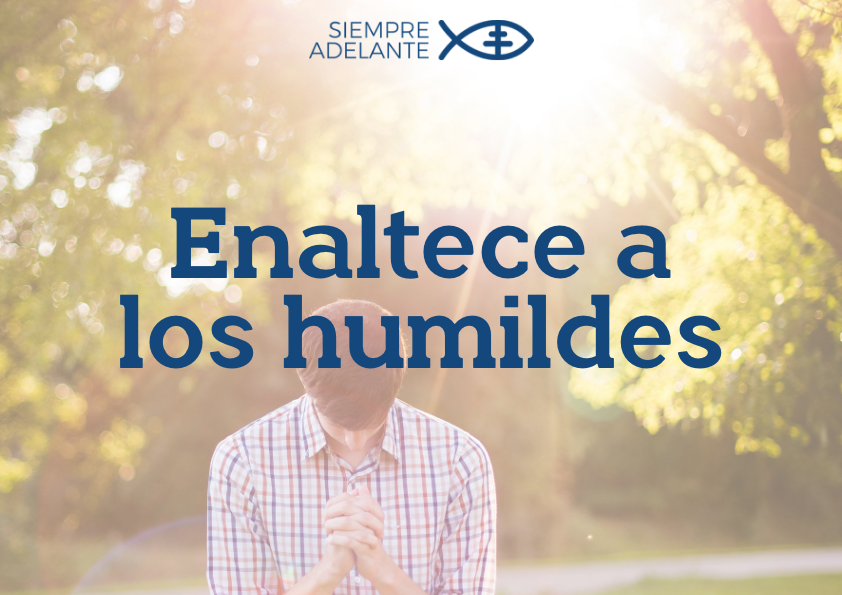 #EvangelioDelDía|Lc 1, 39-56. “El Poderoso ha hecho obras grandes en mí: enaltece a los humildes”.
archisevillasiempreadelante.org/palabraviva-15…

#SiempreAdelante #PalabraViva