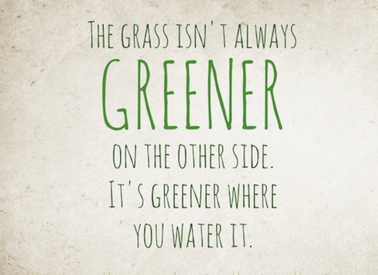 Lars Simic tweet media