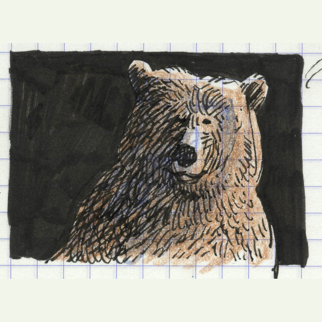 Dave Shelton tweet media