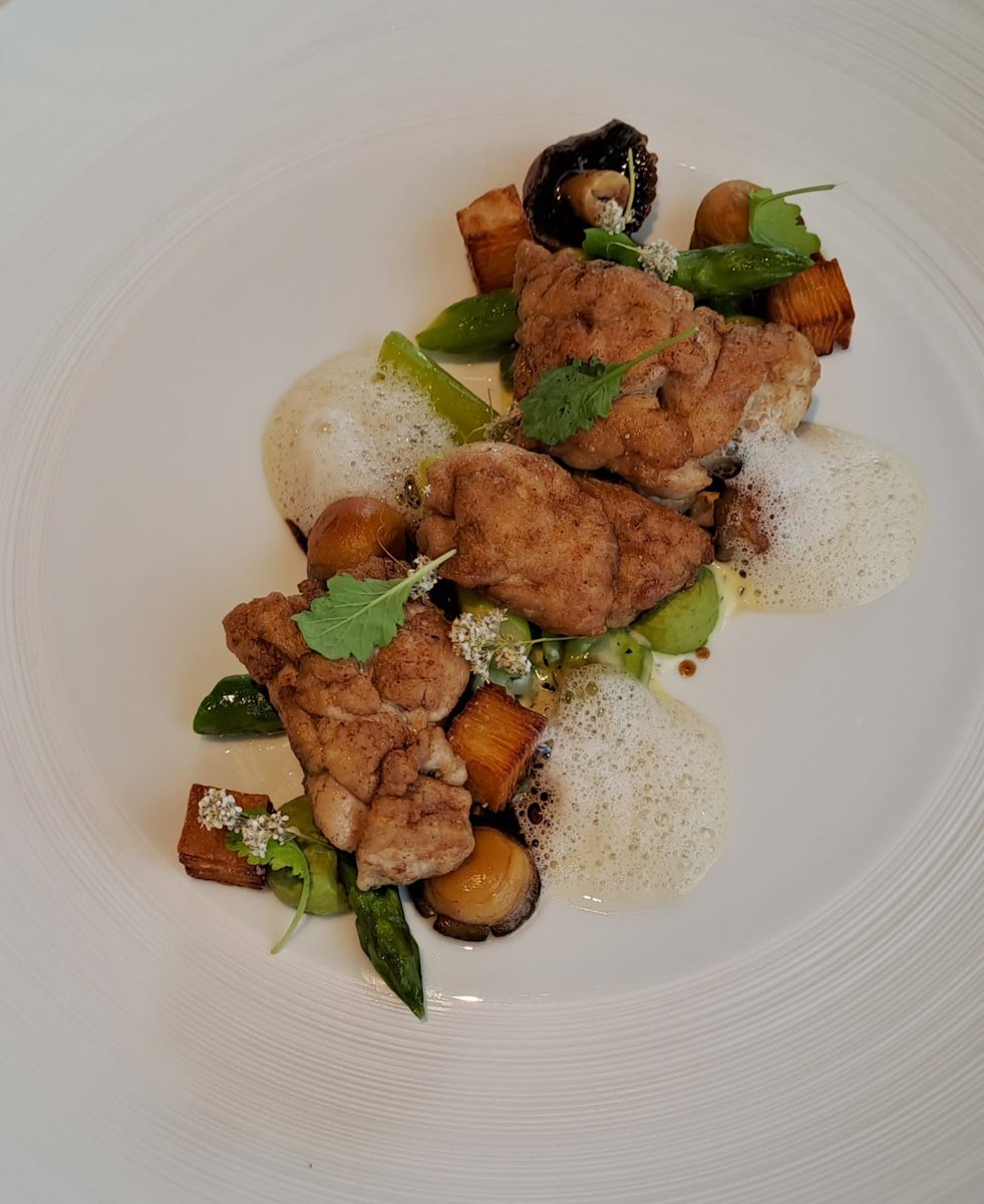 MICHELINgidsBNL's tweet image. Langoustine, sweetbread, and fig from the talented Dimitri De Koninck.

#Nebo #Antwerp #MICHELINStar