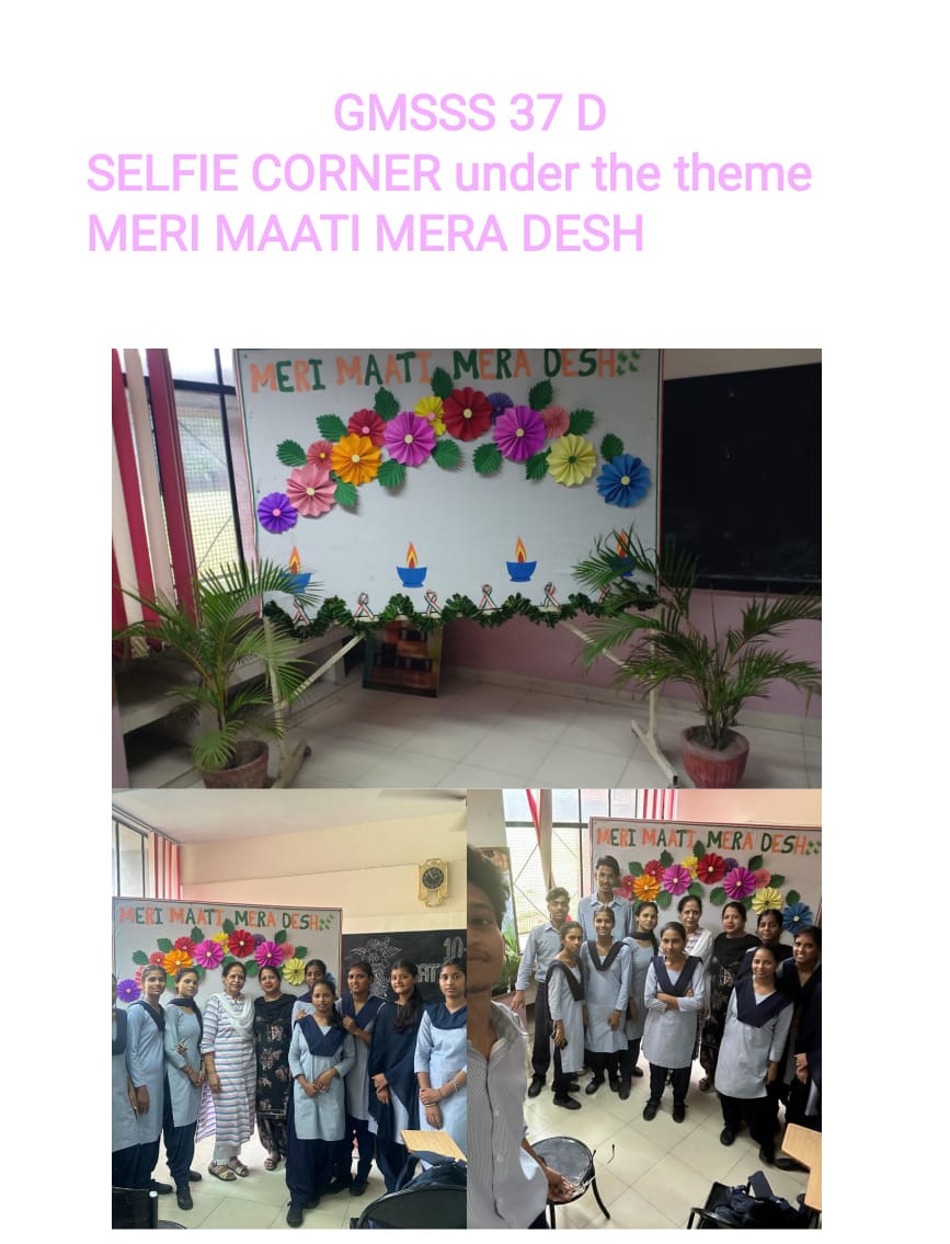 GMSSS-37 D CHANDIGARH tweet media