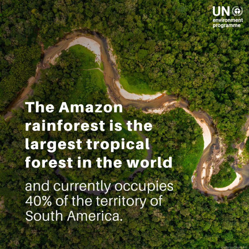 UNEP's tweet photo. Despite its global importance, the Amazon rainforest is being degraded by multiple threats.

Experts warn that it is rapidly reaching a "point of no return" unless urgent action is taken.

Take a look at 5 reasons we should protect this precious natural resource.