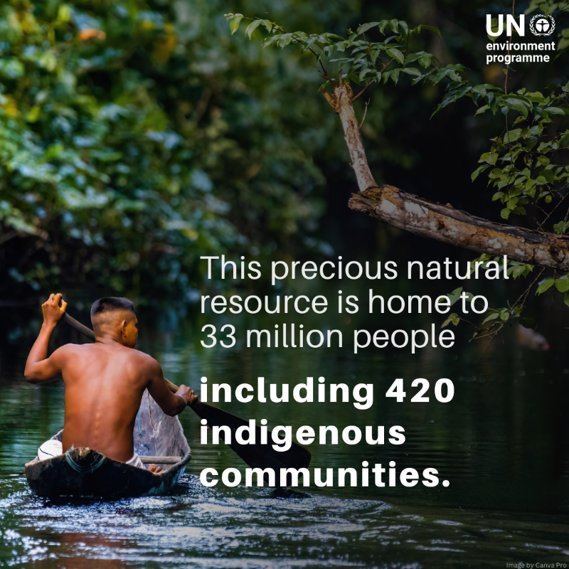 UNEP's tweet photo. Despite its global importance, the Amazon rainforest is being degraded by multiple threats.

Experts warn that it is rapidly reaching a "point of no return" unless urgent action is taken.

Take a look at 5 reasons we should protect this precious natural resource.