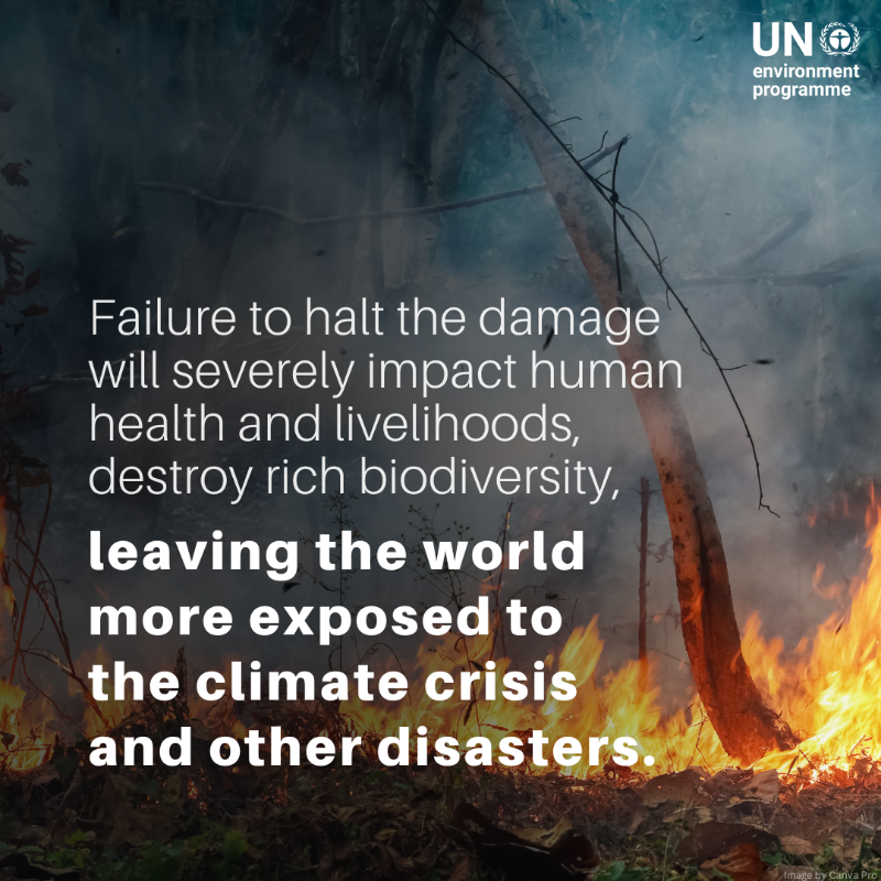 UNEP's tweet photo. Despite its global importance, the Amazon rainforest is being degraded by multiple threats.

Experts warn that it is rapidly reaching a "point of no return" unless urgent action is taken.

Take a look at 5 reasons we should protect this precious natural resource.