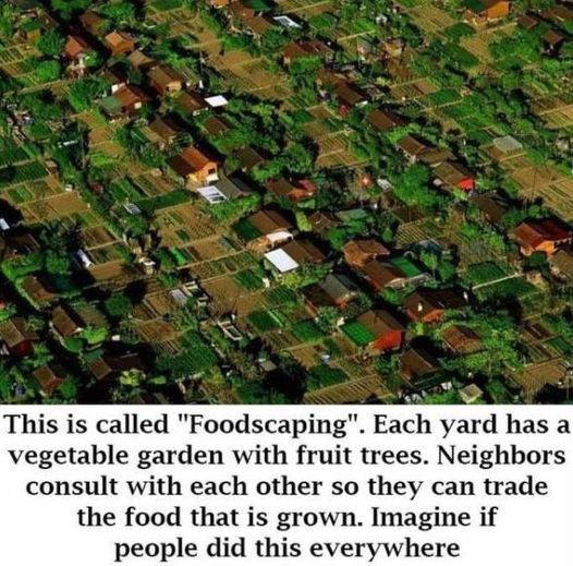 nogridprojects's tweet photo. #selfsufficiency #selfsufficient https://t.co/zKMi23fUgP