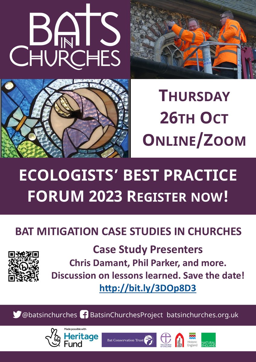 NatinSacrdPlcs's tweet photo. Attention #ecologists! 
We'd love you to join us on Oct 26 for our Ecologists Best Practice Forum to share insights from @BatsinChurches work finding solutions to the impact of bats in churches. 
We'll focus on what works and lessons learned.
It's FREE 🎉
https://t.co/I6k0keNEyK https://t.co/Estjt43bp9