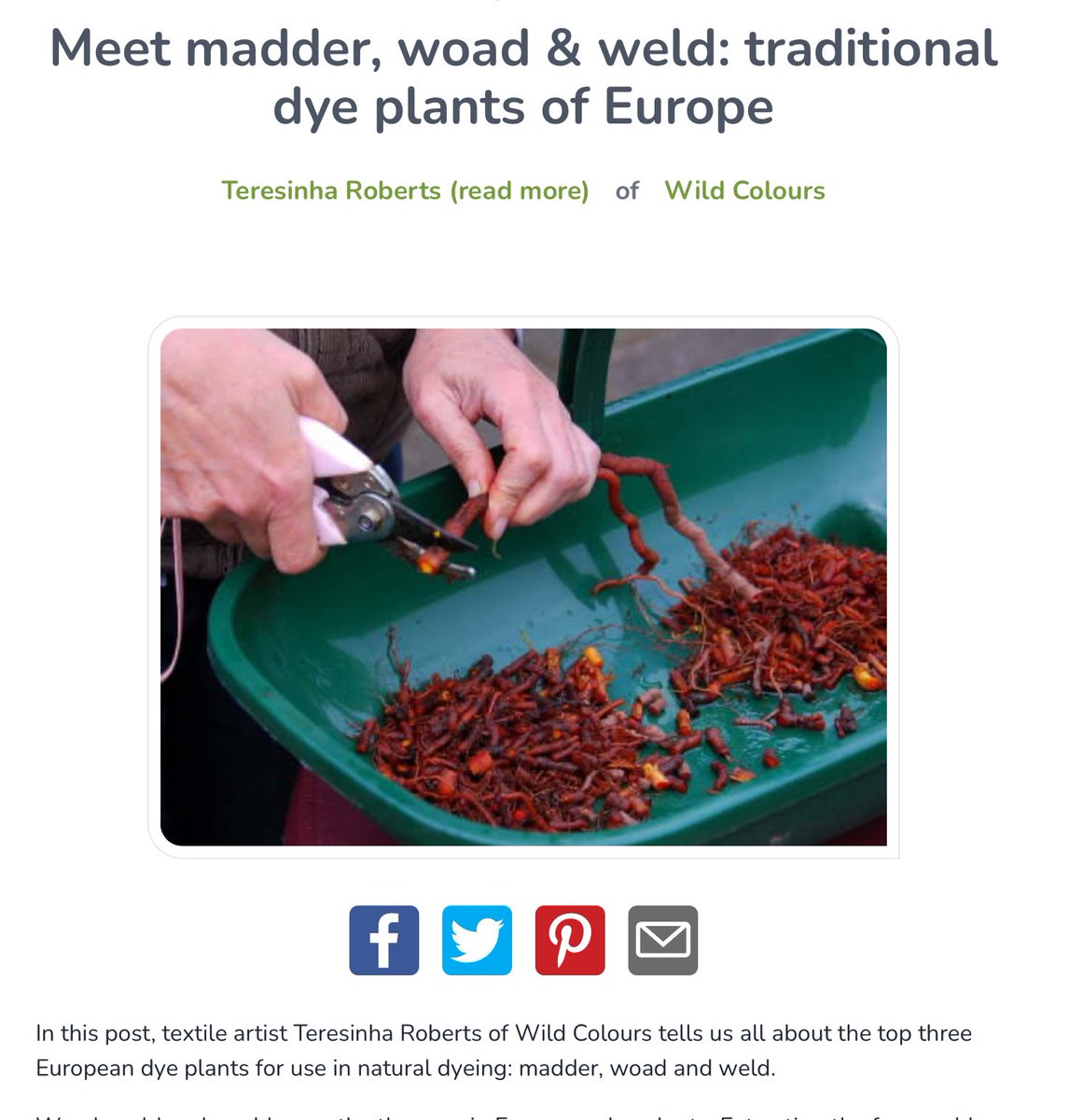 Cannon Hill Park tweet media