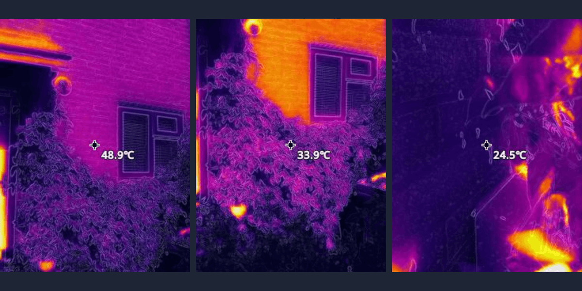 Dr Natalie Whitehead tweet media