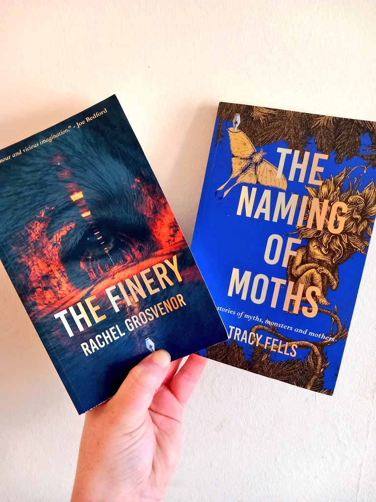 Thank you so much to the lovely Isabelle at @fly_press for sending me copies of #TheFinery and #TheNamingOfMoths. I'm excited for both of these! 😍🥰 #Bookmail #BookTwitter