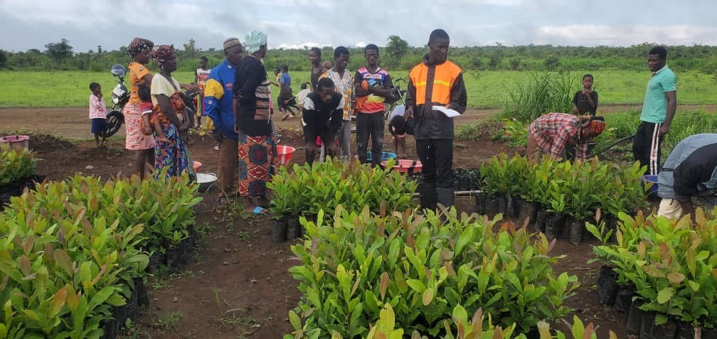 European Union 🇪🇺 supporting farmers in Sierra Leone 🇸🇱: In the next 4 years, #EU funded #AgroTech Program implemented by @Solidaridad_wa will distribute 170,000 high quality polyclonal cashew 🌱 🌱🌱 to over 3,000-smallholder farmers in #Bombali, #PortLoko, #Kambia and