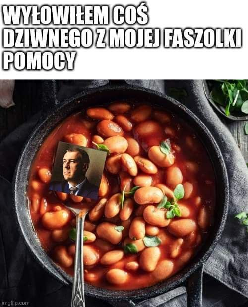 d_kwaczecki's tweet photo. #piontek https://t.co/AcalAHSE9y