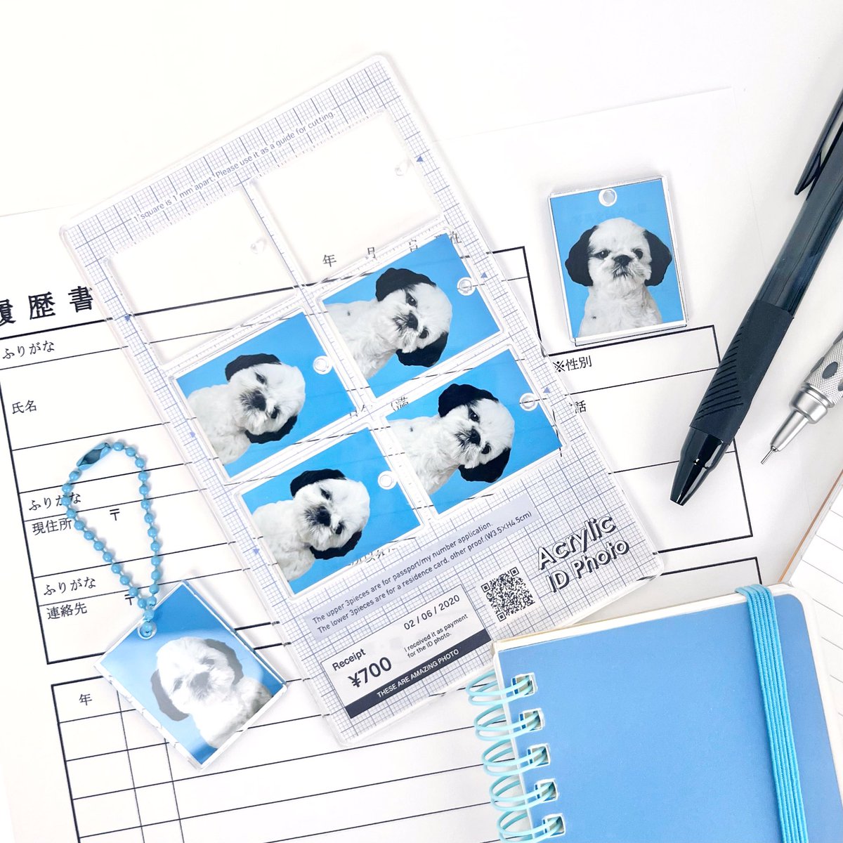 ACRY_jp's tweet image. *クリアカラープレート、アクリルブロックプレートは対象外です。

Mサイズをお得にゲットできるチャンス！是非この機会にお試しください💎