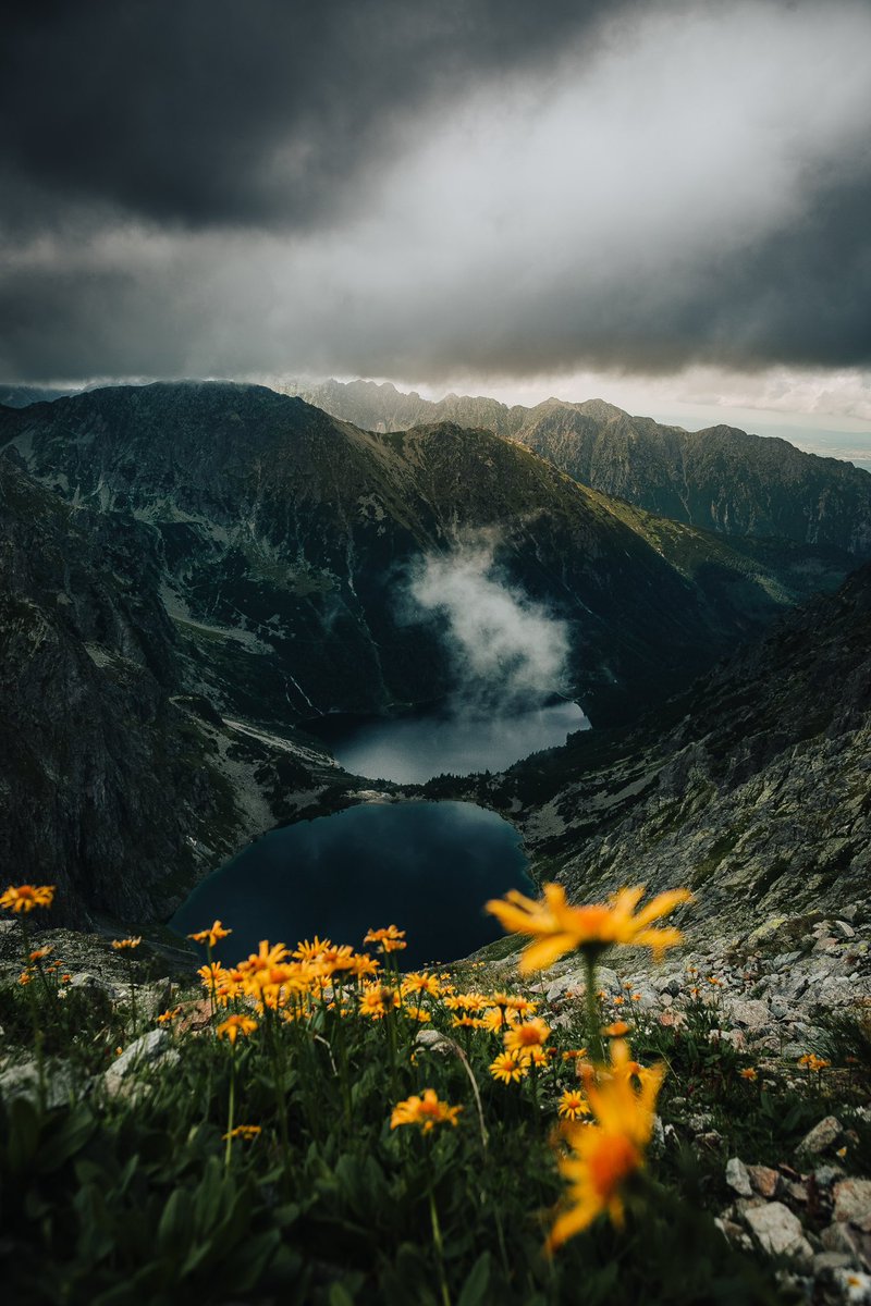 A view worth climbing