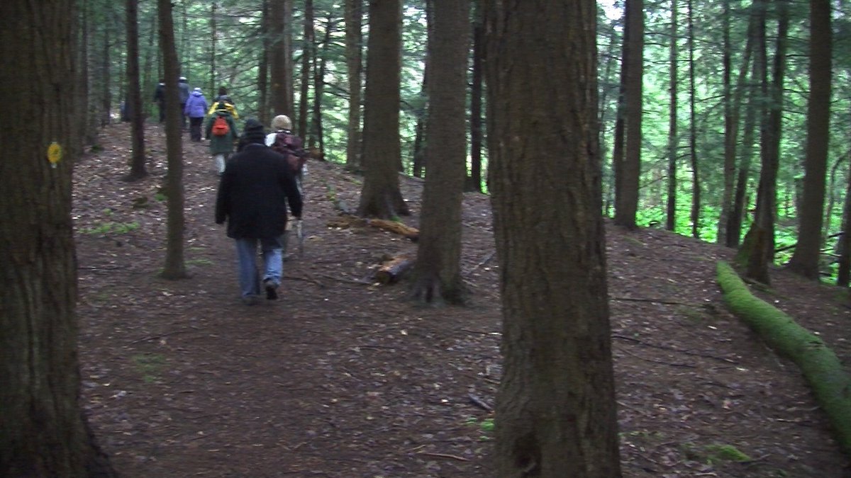 owlgorge's tweet photo. “Von Engeln Preserve by Fall Creek,” online anytime; and on Ithaca cable channel 13 at 3 p.m. Friday August 11, and Saturday at 9 a.m. Online anytime at https://t.co/BSOn4ylHrW.
Photo: Walking along a glacial esker ridge between wetlands. https://t.co/aTvtltXzkV