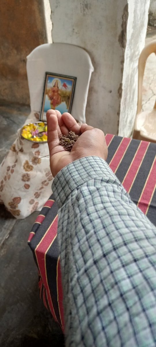 UdaySabad's tweet photo. મારી માટી મારો દેશ 

'પંચ પ્રણ' પ્રતિજ્ઞા : સ્થાનિક કક્ષાએ યોજાયેલ કાર્યક્રમમાં ભાગ લઈ અને હાથમાં મુઠ્ઠીભર માટી  સાથે રાષ્ટ્રની એકતા અને અખંડિતતા માટે સામુહિક પ્રતિજ્ઞા લીધી.
#AmritMahotsav
#plantaion
#MeriMaatiMeraDesh
🇮🇳🇮🇳🇮🇳🥳🥳🥳
@NirmalGogara 
@DeepakMeghani
@Hasmukhpatelips https://t.co/e4TS6DKDV5