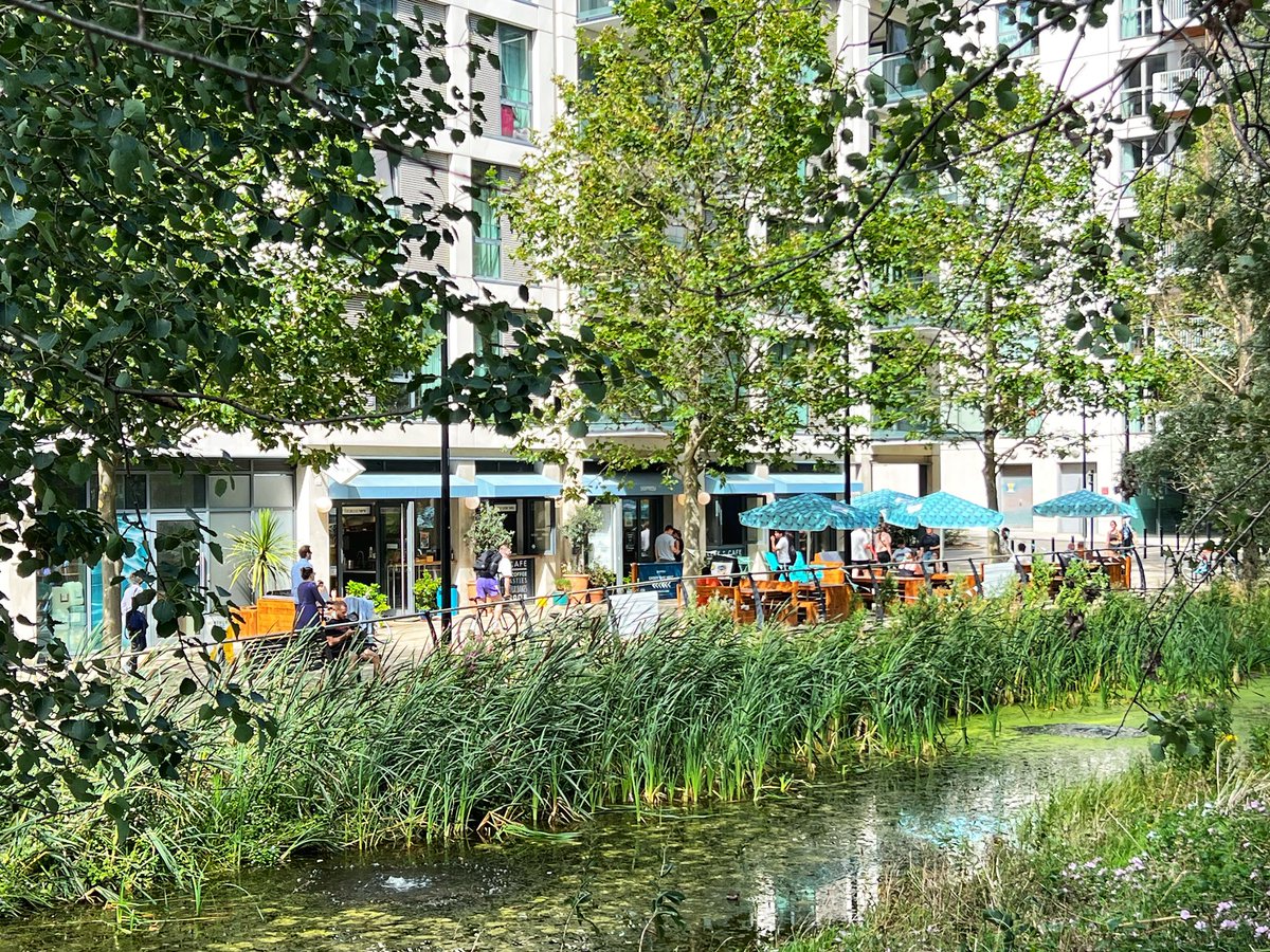 Qagggy's tweet photo. In a world getting hotter, more streets need to be built like this real-life example in London: car-free, flanked by housing and shops, with a center-running nature reserve. https://t.co/GG57iYfyp0