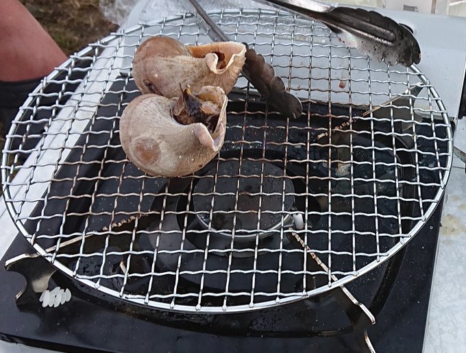 荒々しいつぶ焼き 