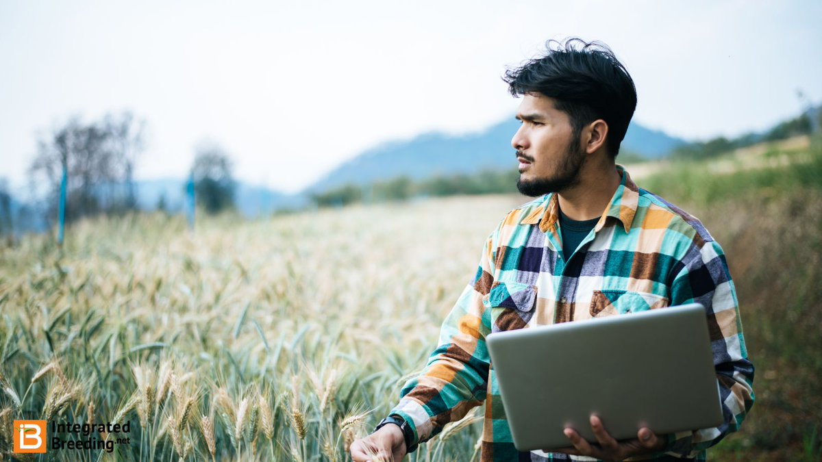 IBPlatform's tweet photo. The BMS enables breeders to carry out their regular tasks with increased efficiency, facilitating the accelerated development of enhanced cultivars while minimizing costs. https://t.co/BCy5xuWpHW