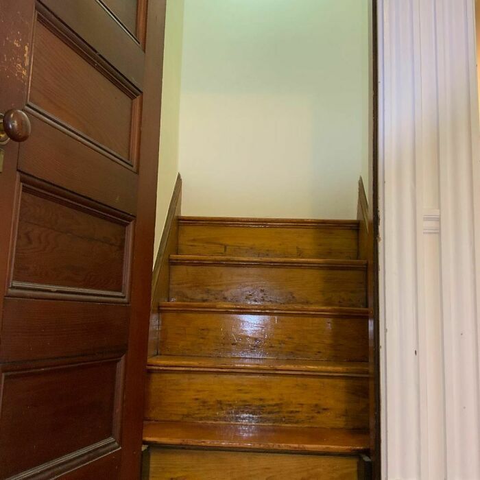Due Diligence Property Inspections tweet media