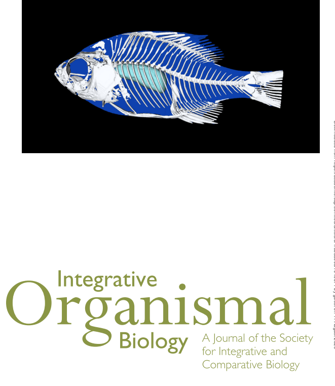 iobjournal@sicb.org (@iobjournal) on Twitter photo Congrats! This is wonderful! 👏👏👏
& for those who haven't read Stacy's co authored work:
Static Stability and Swim Bladder Volume in the Bluegill #Sunfish (Lepomis macrochirus)
by Fath, <a href="/hellostaceface/">Stacy Nguyen</a> , Donahue, McMenamin, <a href="/EricTytell/">Eric Tytell</a>
doi.org/10.1093/iob/ob…
#science Congrats! This is wonderful! 👏👏👏
& for those who haven't read Stacy's co authored work:
Static Stability and Swim Bladder Volume in the Bluegill #Sunfish (Lepomis macrochirus)
by Fath, <a href="/hellostaceface/">Stacy Nguyen</a> , Donahue, McMenamin, <a href="/EricTytell/">Eric Tytell</a>
doi.org/10.1093/iob/ob…
#science