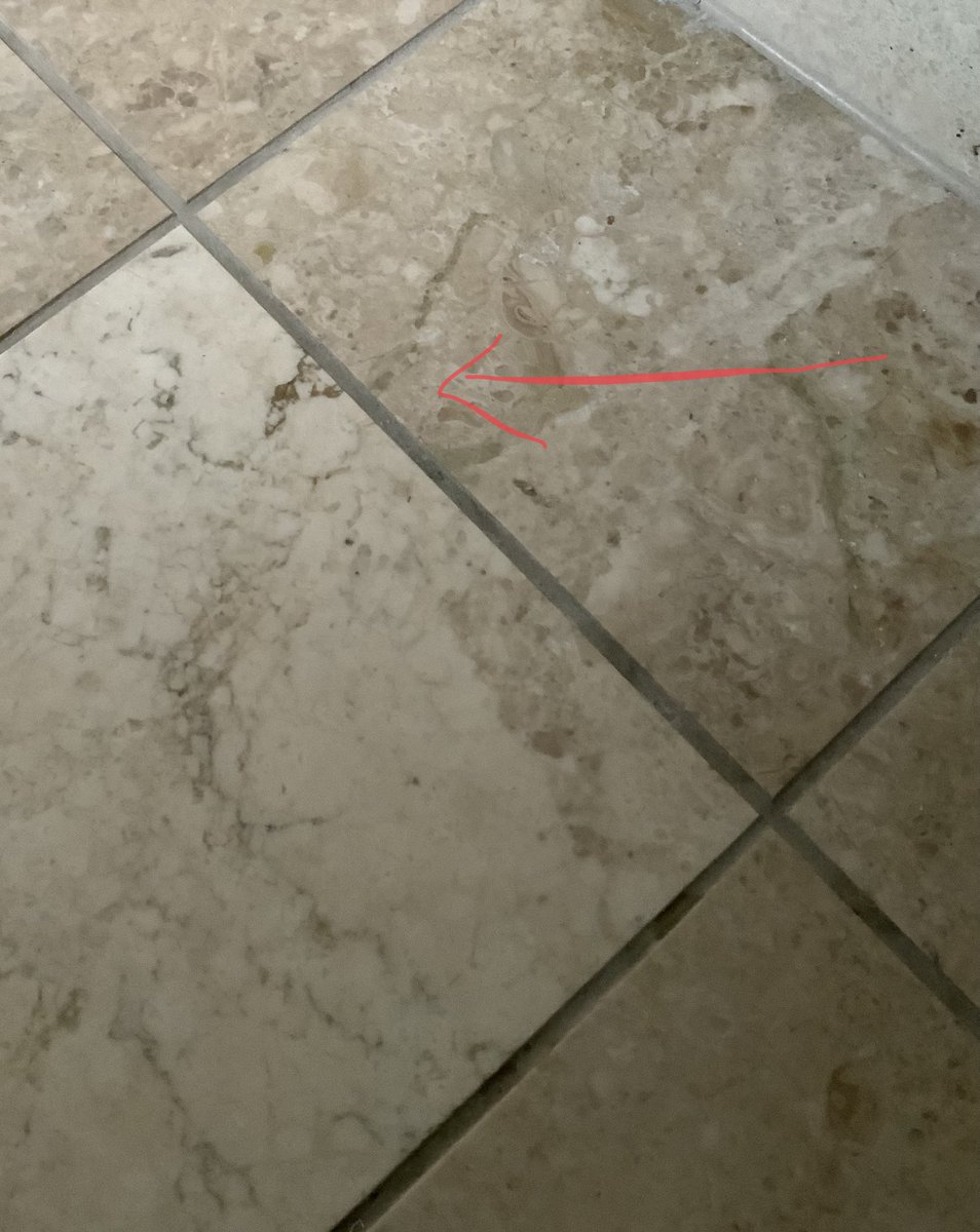 owenclark3's tweet photo. @Pingosaurus Can you see Eric Morecambe in my bathroom tiles, or have I been eating too much cheese? https://t.co/goOmoHXtWR