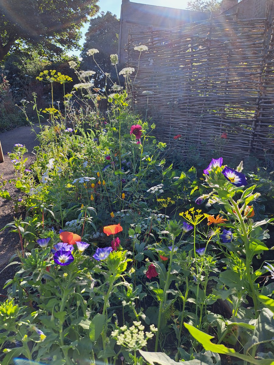 Arielle Juler tweet media